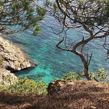 Climatise Proche Des Plages Apartamento *