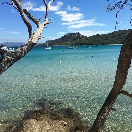 Climatise Proche Des Plages Apartamento Carqueiranne